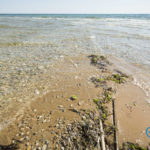 The river and the Sea