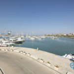 The Harbour